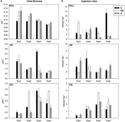 Response of the Calanoid Copepod Clausocalanus furcatus, to Atmospheric Deposition Events: Outcomes from a Mesocosm Study